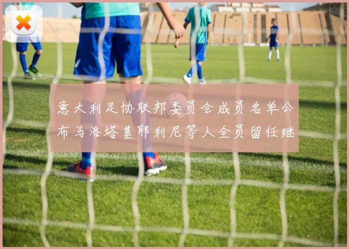 意大利足协联邦委员会成员名单公布马洛塔基耶利尼等人全员留任继续服务
